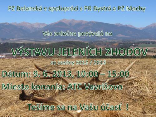 výstava parohov