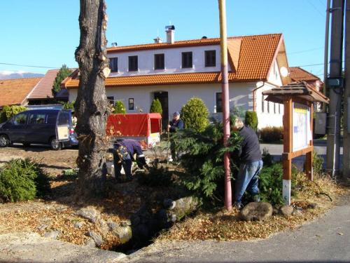 Výsadba zelene - Zelené obce 2011